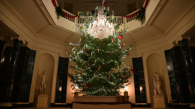 Christmas Tree in Central Hall, Mount Stewart
